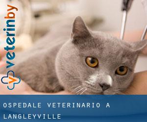 Ospedale Veterinario a Langleyville