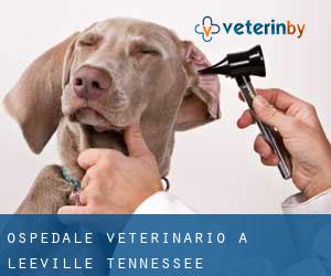 Ospedale Veterinario a Leeville (Tennessee)