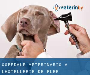 Ospedale Veterinario a L'Hôtellerie-de-Flée