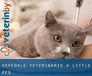 Ospedale Veterinario a Little Red