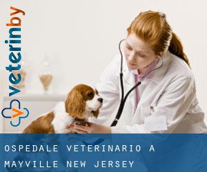 Ospedale Veterinario a Mayville (New Jersey)