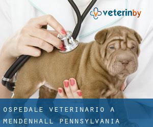 Ospedale Veterinario a Mendenhall (Pennsylvania)