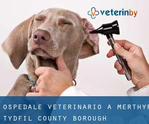 Ospedale Veterinario a Merthyr Tydfil (County Borough)