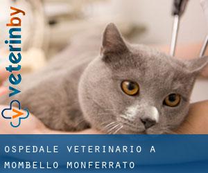 Ospedale Veterinario a Mombello Monferrato