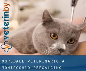 Ospedale Veterinario a Montecchio Precalcino