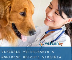 Ospedale Veterinario a Montrose Heights (Virginia)