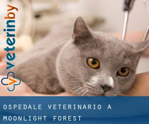 Ospedale Veterinario a Moonlight Forest