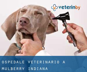 Ospedale Veterinario a Mulberry (Indiana)