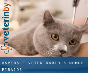 Ospedale Veterinario a Nomós Piraiós