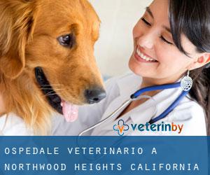 Ospedale Veterinario a Northwood Heights (California)