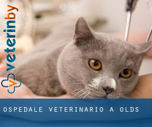 Ospedale Veterinario a Olds