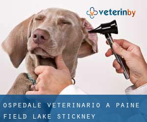 Ospedale Veterinario a Paine Field-Lake Stickney