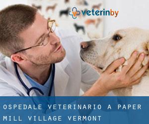 Ospedale Veterinario a Paper Mill Village (Vermont)
