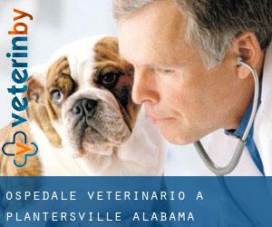 Ospedale Veterinario a Plantersville (Alabama)