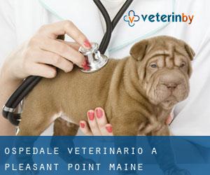 Ospedale Veterinario a Pleasant Point (Maine)