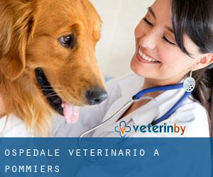 Ospedale Veterinario a Pommiers