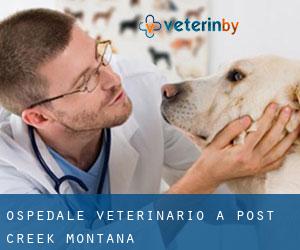 Ospedale Veterinario a Post Creek (Montana)