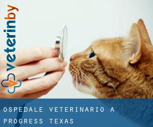 Ospedale Veterinario a Progress (Texas)