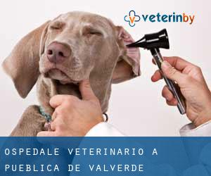 Ospedale Veterinario a Pueblica de Valverde