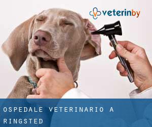 Ospedale Veterinario a Ringsted