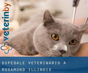 Ospedale Veterinario a Rosamond (Illinois)