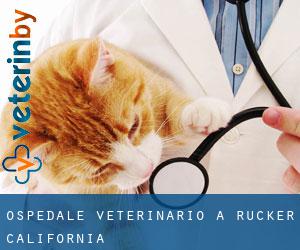 Ospedale Veterinario a Rucker (California)