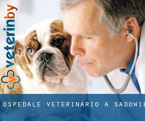 Ospedale Veterinario a Sadowie