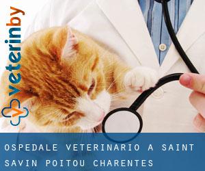Ospedale Veterinario a Saint-Savin (Poitou-Charentes)
