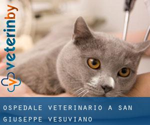 Ospedale Veterinario a San Giuseppe Vesuviano