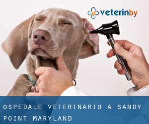 Ospedale Veterinario a Sandy Point (Maryland)