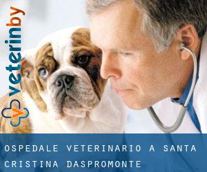Ospedale Veterinario a Santa Cristina d'Aspromonte