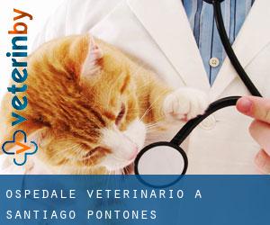 Ospedale Veterinario a Santiago-Pontones