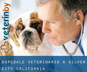 Ospedale Veterinario a Silver City (California)