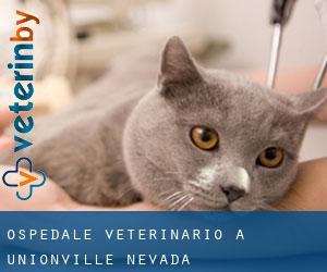 Ospedale Veterinario a Unionville (Nevada)