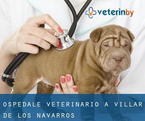 Ospedale Veterinario a Villar de los Navarros