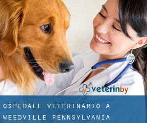 Ospedale Veterinario a Weedville (Pennsylvania)