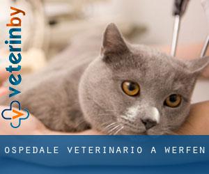 Ospedale Veterinario a Werfen