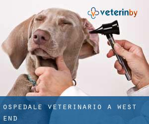 Ospedale Veterinario a West End