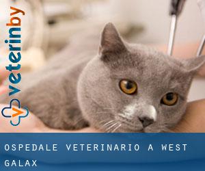 Ospedale Veterinario a West Galax