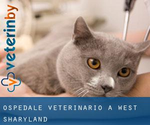 Ospedale Veterinario a West Sharyland