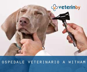 Ospedale Veterinario a Witham