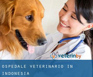 Ospedale Veterinario in Indonesia