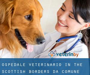 Ospedale Veterinario in The Scottish Borders da comune - pagina 1