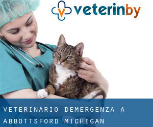 Veterinario d'Emergenza a Abbottsford (Michigan)