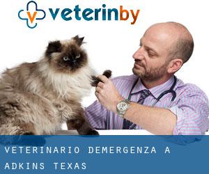 Veterinario d'Emergenza a Adkins (Texas)
