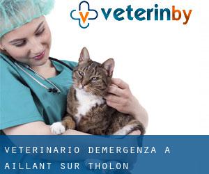 Veterinario d'Emergenza a Aillant-sur-Tholon