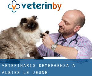 Veterinario d'Emergenza a Albiez-le-Jeune