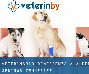 Veterinario d'Emergenza a Alder Springs (Tennessee)