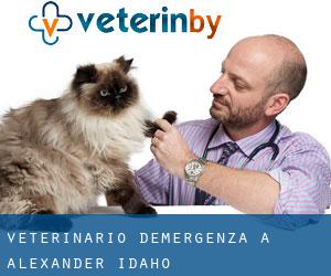 Veterinario d'Emergenza a Alexander (Idaho)