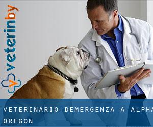 Veterinario d'Emergenza a Alpha (Oregon)
